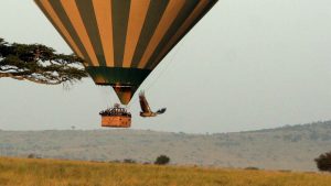 serengeti safari balloon extension