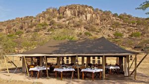 eco tourism safari in tanzania