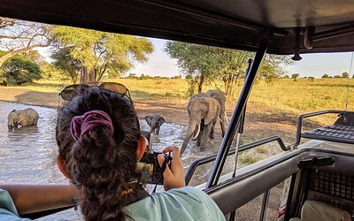 Family Safari Tanzania – Best Safari for Kids in Africa